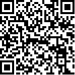 Sito web di presentazione                         